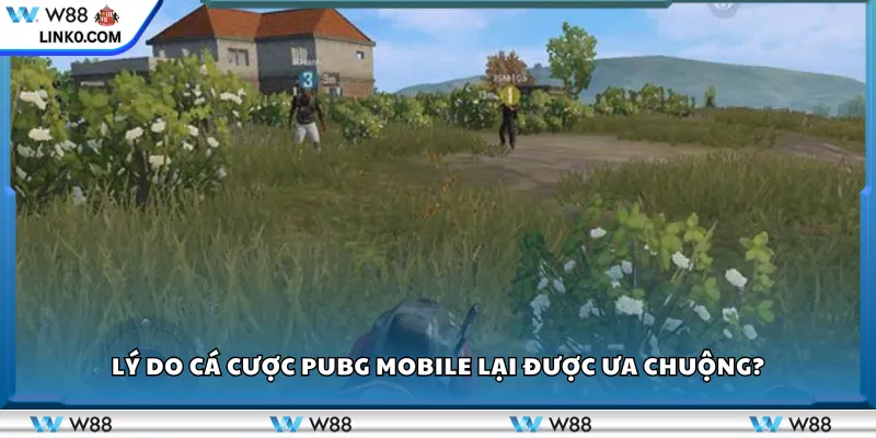 Lý do cá cược PUBG Mobile lại được ưa chuộng?