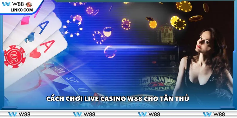Cách chơi Live Casino W88 cho tân thủ
