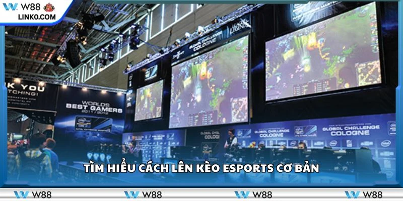 Tìm hiểu cách lên kèo esports cơ bản